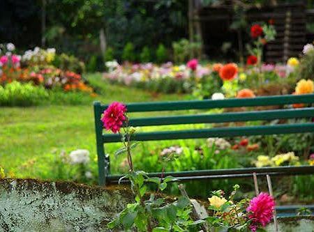 Oak Field Resort Munnar Buitenkant foto