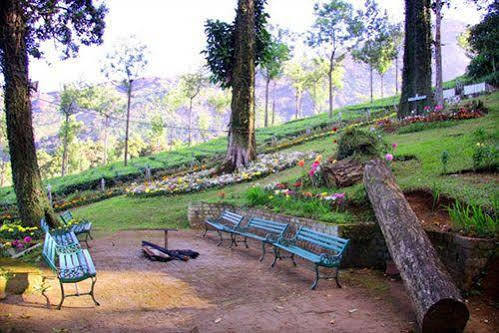 Oak Field Resort Munnar Buitenkant foto