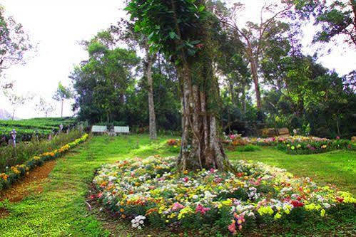 Oak Field Resort Munnar Buitenkant foto